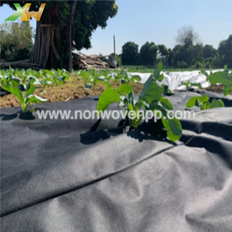 non woven polypropylene landscape fabric